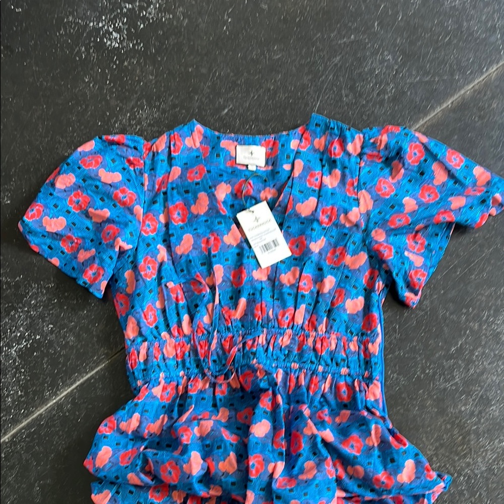 Tuckernuck Blue Floral Midi Dress